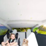 Ice Crystal Sunshade for Tesla Model 3